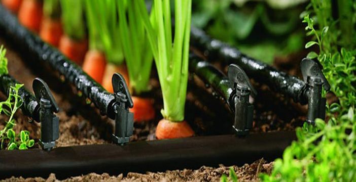 Predomina de la estabilidad en la cotización  de los fosfatos diamónico y monoamónico cristalinos