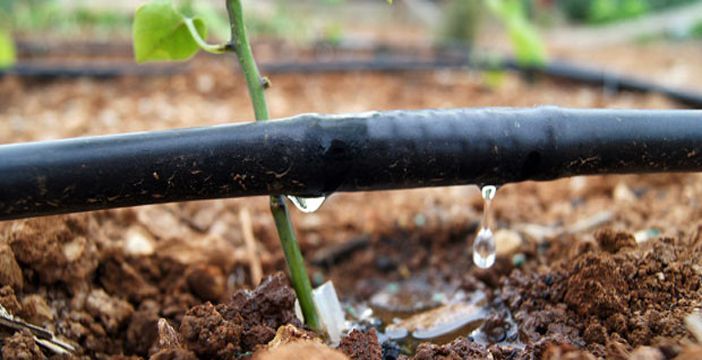 Los suministradores de sulfato potásico mantienen firmes sus tarifas en febrero debido a la escasez de producto