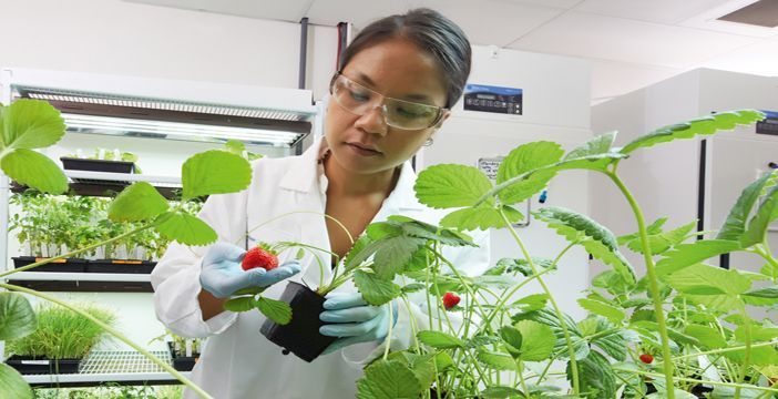 La química Bayer confirma su OPA de 62.000 millones de dólares por Monsanto