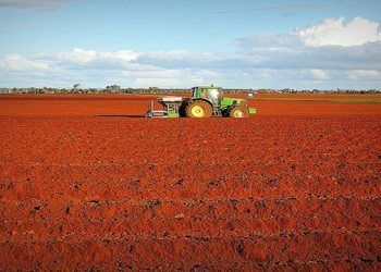 El precio del nitrosulfato amónico aumenta significativamente en octubre pese a la ausencia de operaciones