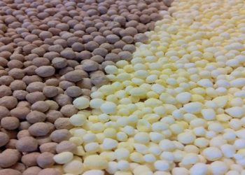 Los precios de los abonos complejos se estabilizan en noviembre tras la corrección bajista sufrida hace un mes