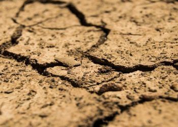 El valor del NAC 27% se mantiene estable en noviembre a pesar de la nueva apreciación sufrida por la urea