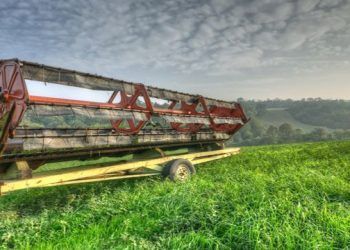 El nitrato amónico cálcico aumenta ligeramente en enero y se sitúa en un rango de 225-230 €/Tm.