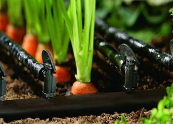 La amplia disponibilidad de fosfatos solubles evita la cristalización de las subidas anunciadas por un productor europeo