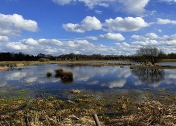 El valor de la urea granular vuelve a ceder terreno en abril mientras que el relativo a la prilled detiene su caída