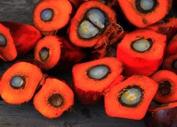 lauril éter sulfato sódico