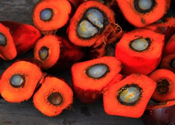 Lauril Éter Sulfato Sódico