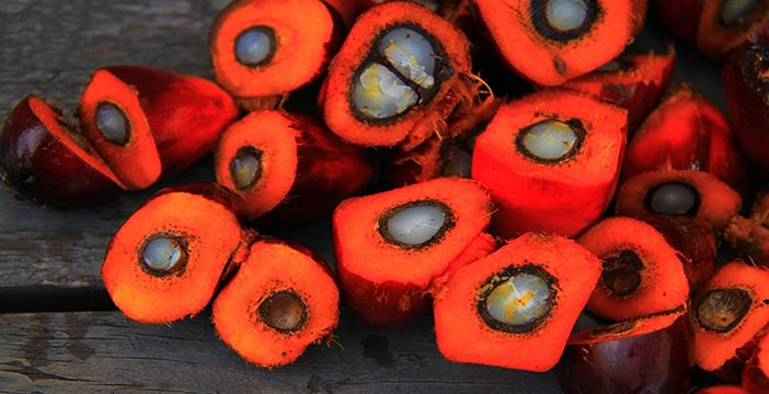 lauril éter sulfato sódico